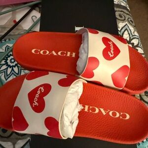 Coach slides